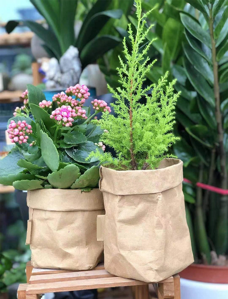 Factory Direct Sale Washable Kraft Paper Bag Wholesale Eco-Friendly Stock Kraft Paper Washable Paper Plant Pot Flower Pot Bag